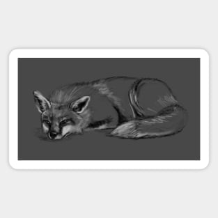 fox sketch Magnet